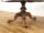 CMXAeB[NƋ[e[u 59873