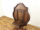 CMXAeB[NƋ[e[u 59873
