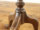 CMXAeB[NƋCe[u 80023