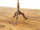 CMXAeB[NƋCe[u 80025