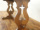 OldCharmtFNg[e[u 80068